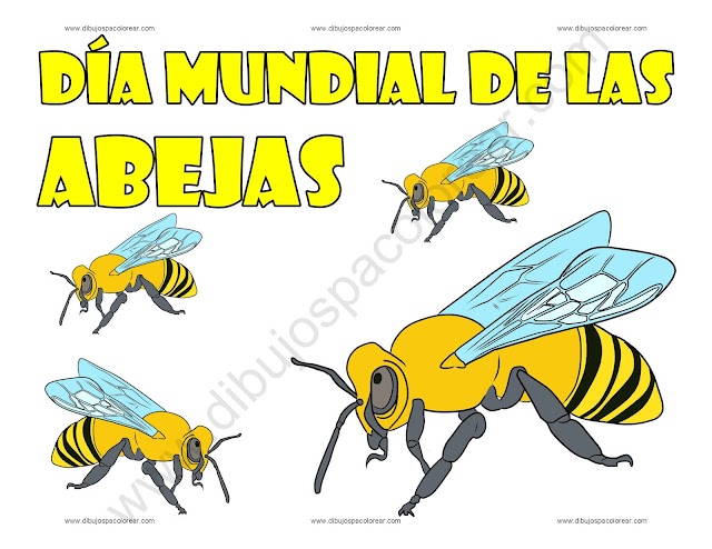 Día Mundial de las Abejas dibujo a color y para colorear